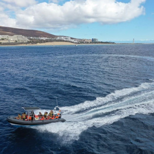 Tour de Avistamiento de Cetáceos para ver Delfines y Ballenas (Morro Jable, Fuerteventura)