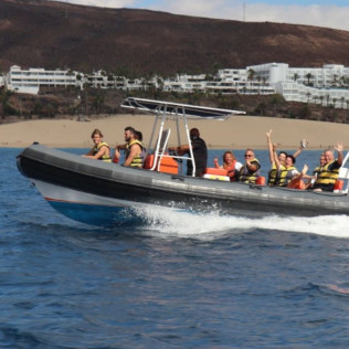Tour de Avistamiento de Cetáceos para ver Delfines y Ballenas (Morro Jable, Fuerteventura)