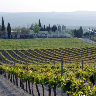 Baños Romanos y Visita a Bodegas Pérez Barquero con Degustación de Vinos para dos (Córdoba) 