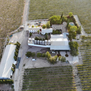Baños Romanos y Visita a Bodegas Pérez Barquero con Degustación de Vinos para dos (Córdoba) 