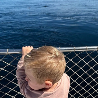 Paseo en Barco Privado para dos en Busca de Delfines por la Bahía de Estepona con Cava y Picoteo (Málaga)
