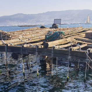 Ruta en Barco por la Ría de Vigo (Vigo, Pontevedra)