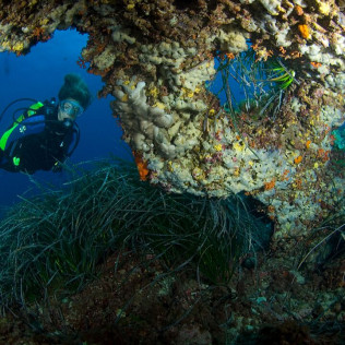 Bautismo de Buceo en Calvià (Mallorca)