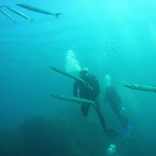 Bautizo de Buceo en la Reserva Marina de Menorca (Es Mercadal, Menorca)