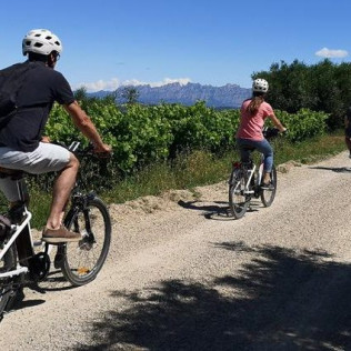 Ruta Autoguiada en Bicicleta Eléctrica por Cavas del Penedés con Degustación (Barcelona)