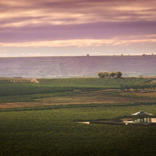 Visita Guiada a BODEGAS VIVANCO con Degustación de 2 Vinos (Briones, La Rioja)