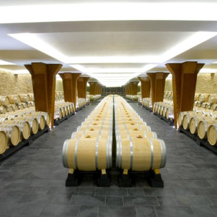Visita Guiada a BODEGAS VIVANCO con Degustación de 2 Vinos (Briones, La Rioja)