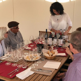 Visita a Bodega Territorio Luthier con Degustación y Aperitivo para dos (Aranda de Duero, Burgos)