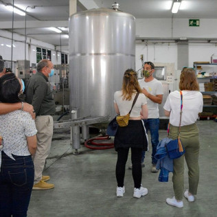 Visita a Bodega Vinícola de Arganda y Degustación de Vinos con Maridaje para dos (Arganda del Rey, Madrid)