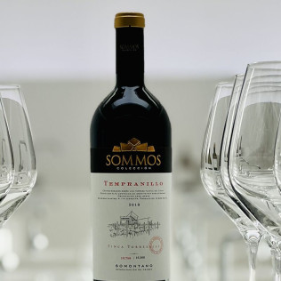 Visita a Bodega Sommos con Cata de 3 Vinos y Maridaje de Ibéricos (Barbastro, Huesca)