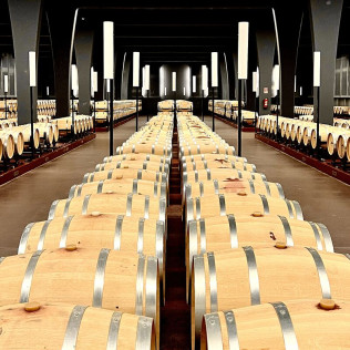 Visita a Bodega Sommos con Cata de 3 Vinos y Maridaje de Ibéricos (Barbastro, Huesca)