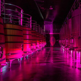 Visita a Bodega Regina Viarum y Cata de Vinos a Elegir para dos en Ribeira Sacra (Lugo)