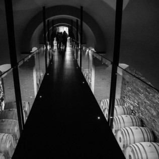 Visita a Bodega Regina Viarum y Cata de Vinos a Elegir para dos en Ribeira Sacra (Lugo)