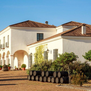 Visita a Viñedos y Bodega Valdealto con Cata de Vinos y Circuito Spa en Hotel Balneario El Raposo 4* para dos (Badajoz)