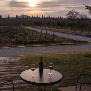 Visita a Bodega La Vinyeta y Cata de Vinos para dos (Girona)