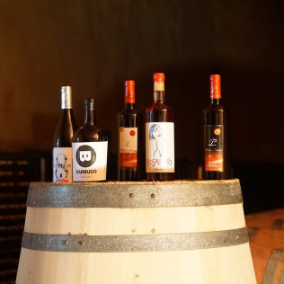 Visita a Bodegas Palacio de Lerma con Cata de 3 Vinos para dos (Lerma, Burgos)