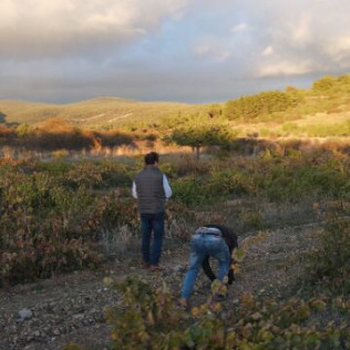 Visita a Bodegas Palacio de Lerma con Cata de 3 Vinos para dos (Lerma, Burgos)