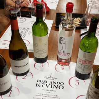 Visita a Bodegas Palacio de Lerma con Cata de 3 Vinos para dos (Lerma, Burgos)