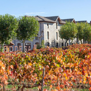 Señorío de Otazu: Visita a Bodega Otazu para dos (Otazu, Navarra)