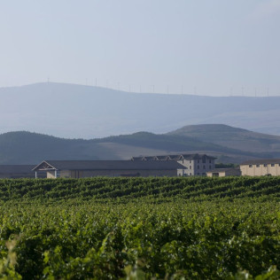 Señorío de Otazu: Visita a Bodega Otazu para dos (Otazu, Navarra)