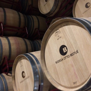 Visita a la Bodega Otto Bestué con Cata para dos (Enate, Huesca)