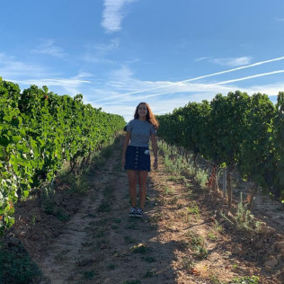 Visita a la Bodega Otto Bestué con Cata para dos (Enate, Huesca)