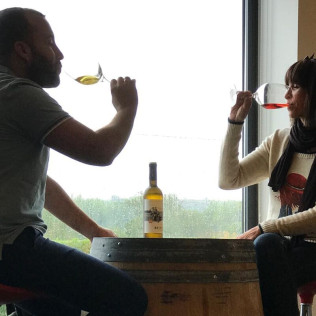 Visita a la Bodega Otto Bestué con Cata para dos (Enate, Huesca)