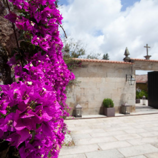 Visita Guiada a la Bodega Pazo de Señorans con Cata de vino y aguardientes para dos (Meis, Pontevedra)