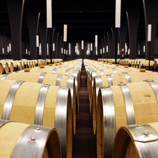 Visita a Bodega Sommos con Cata de 3 Vinos (Barbastro, Huesca)