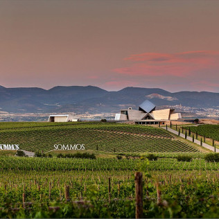 Visita a Bodega Sommos con Cata de 3 Vinos (Barbastro, Huesca)