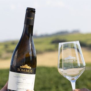 Visita a Bodega Sommos con Cata de 3 Vinos (Barbastro, Huesca)