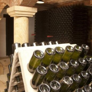Visita a Bodega Txakoli Beldui con Cata de Vinos para dos (Llodio, Álava)