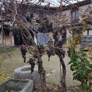 Visita con Cata y Degustación para dos en Bodega Santamaría (Valladolid)