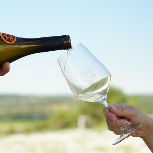 Visita a Bodega LoAlto con Cata de Vinos para dos (Venta del Moro, Valencia)