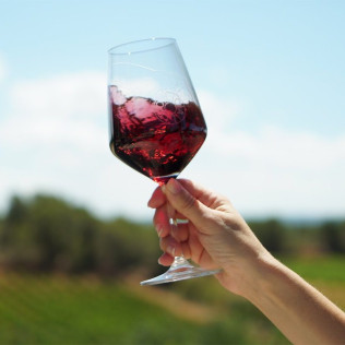 Visita a Bodega LoAlto con Cata de Vinos para dos (Venta del Moro, Valencia)