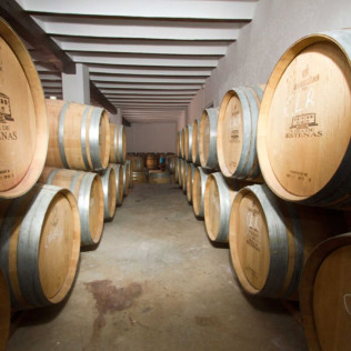 Visita a Viñedos y Bodega Vera de Estenas con Cata de 3 Vinos y Degustación de Aperitivos para dos (Utiel, Valencia)