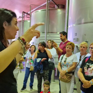 Visita Guiada a Bodegas Santa Margarita, Viñedos en Tren Turístico y Yeguada con Cata de Vinos para dos (Caudete, Albacete)