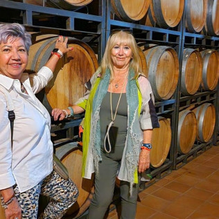 Visita Guiada a Bodegas Santa Margarita, Viñedos en Tren Turístico y Yeguada con Cata de Vinos para dos (Caudete, Albacete)