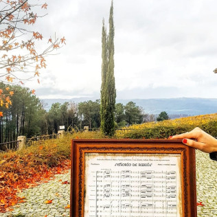 Visita a Viñedos y Bodegas Señorío de Rubiós con Cata y Circuito Termal en Balneario de Mondariz para dos (Pontevedra)