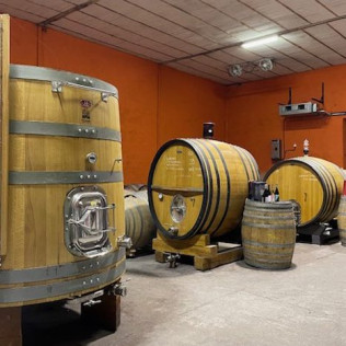 Visita guiada a Bodegas Canopy y Cata de Vinos con Aperitivo para dos (Camarena, Toledo)