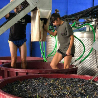 Visita guiada a Bodegas Canopy y Cata de Vinos con Aperitivo para dos (Camarena, Toledo)