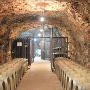 Visita a Bodegas Peral, Cata de 3 Vinos y Tapa de Bienvenida (Colmenar de Oreja, Madrid) 