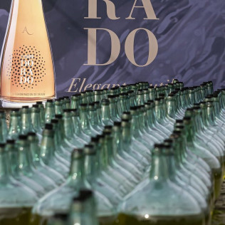 Visita a Bodega Subterránea con Cata de Vinos y Quesos o Dulces artesanos en Bodegas de Alberto (Valladolid)