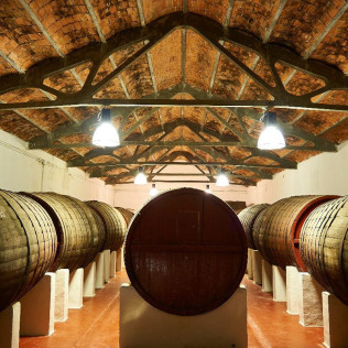 Visita a Bodega Subterránea con Cata de Vinos y Quesos o Dulces artesanos en Bodegas de Alberto (Valladolid)