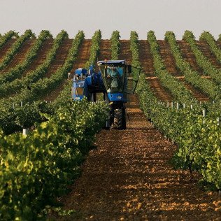 Visita a Bodega Subterránea con Cata de Vinos y Quesos o Dulces artesanos en Bodegas de Alberto (Valladolid)
