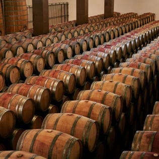 Visita a Bodegas Fariña y Exposición de Pintura con Cata de Vinos y Aperitivo para dos (Casaseca de las Chanas, Zamora)