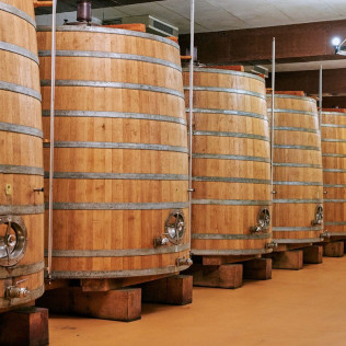 Visita a Bodegas Fariña y Exposición de Pintura con Cata de Vinos y Aperitivo para dos (Casaseca de las Chanas, Zamora)