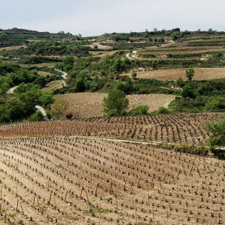 Visita a Bodega y Cata de Vinos Ecológicos y Biodinámicos para dos en Bodegas Laukote (Laguardia, Álava)