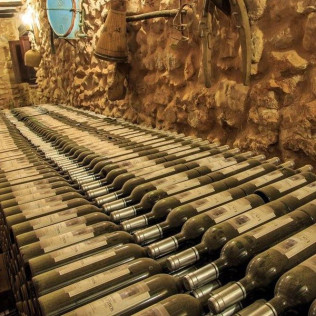 Visita a las Bodegas Los Pinos con Cata y Botella de Vino para dos (Fontanares, Valencia)