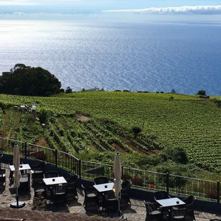 Visita a las Bodegas Monje con Cata y Aperitivo para dos (El Sauzal, Tenerife)